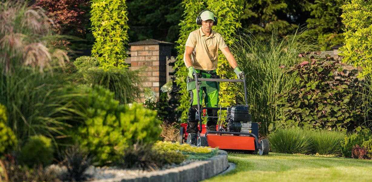 Lawn Care and Maintenance Services in Beverly Hills, CA