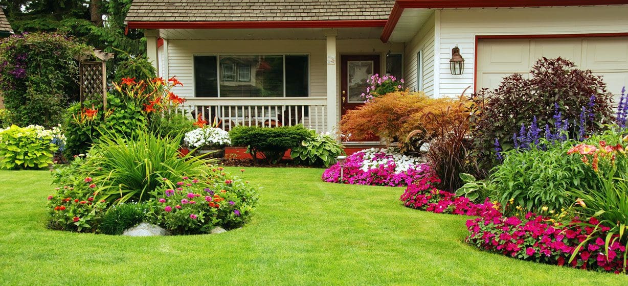 About Beverly Hills Landscaping Services, Beverly Hills, Los Angeles